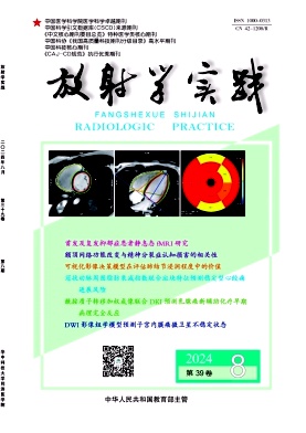 放射学实践封面